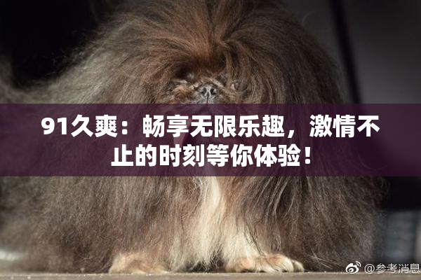 91久爽：畅享无限乐趣，激情不止的时刻等你体验！
