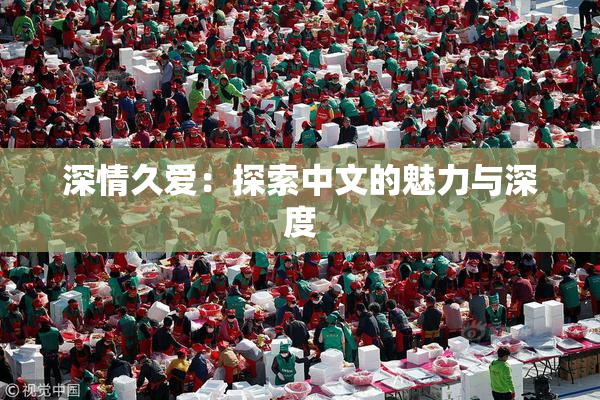 深情久爱：探索中文的魅力与深度