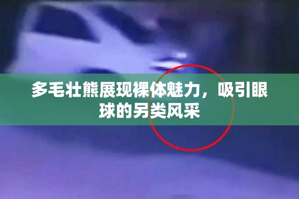 多毛壮熊展现裸体魅力，吸引眼球的另类风采