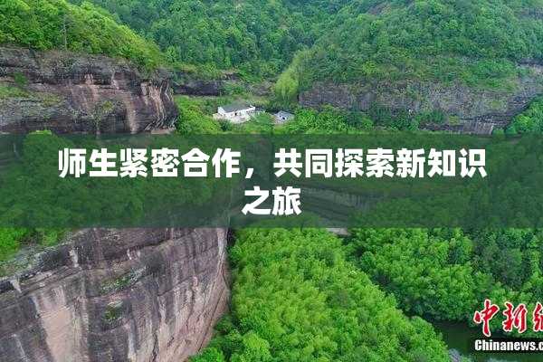 师生紧密合作，共同探索新知识之旅