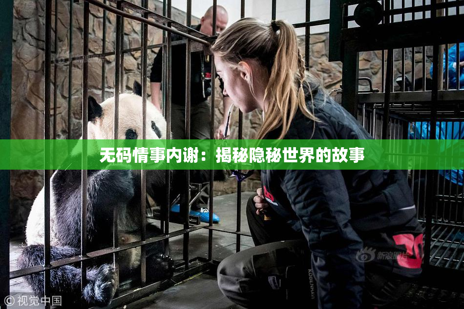 无码情事内谢：揭秘隐秘世界的故事