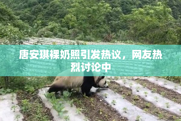 唐安琪裸奶照引发热议，网友热烈讨论中