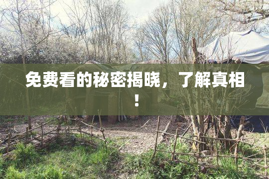 免费看的秘密揭晓，了解真相！