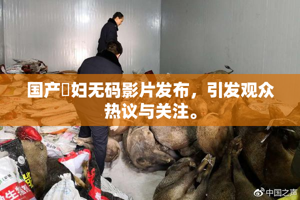 国产婬妇无码影片发布，引发观众热议与关注。