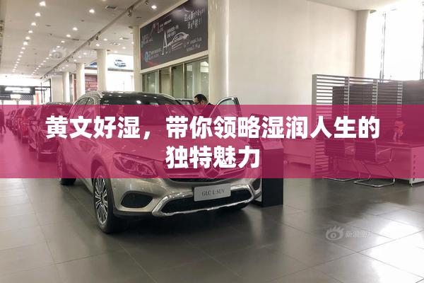 黄文好湿，带你领略湿润人生的独特魅力