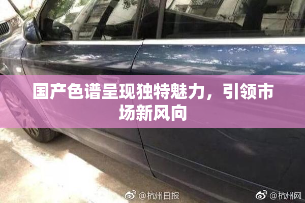 国产色谱呈现独特魅力，引领市场新风向