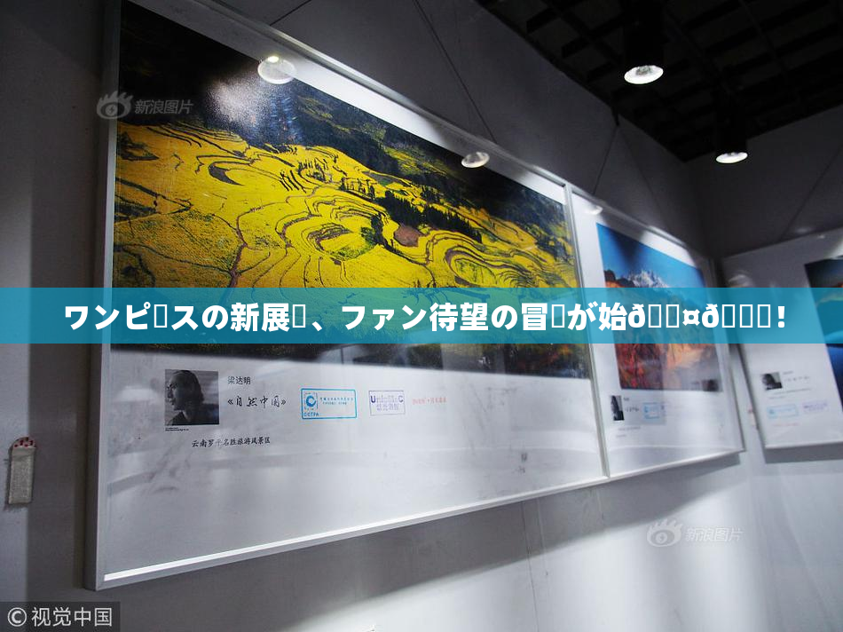 ワンピースの新展開、ファン待望の冒険が始🖤🌃！