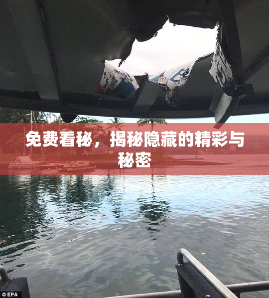 免费看秘，揭秘隐藏的精彩与秘密