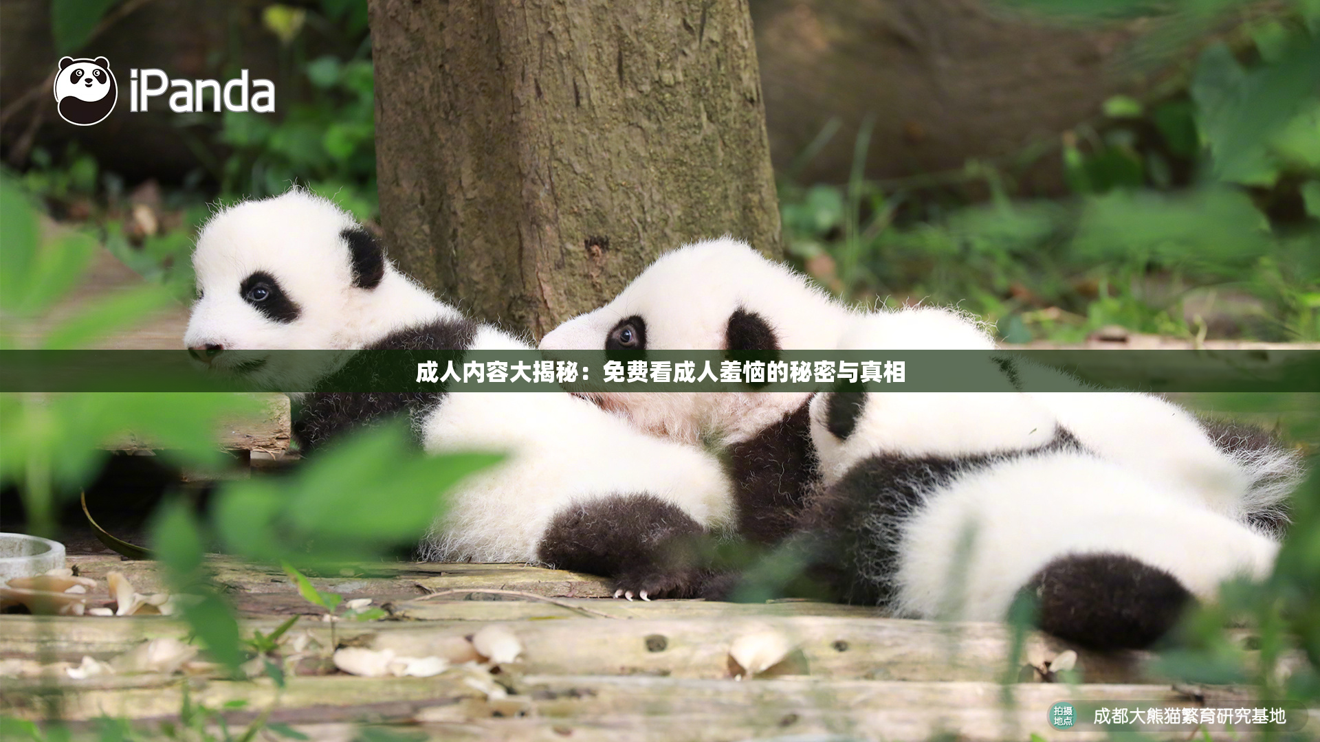 成人内容大揭秘：免费看成人羞恼的秘密与真相