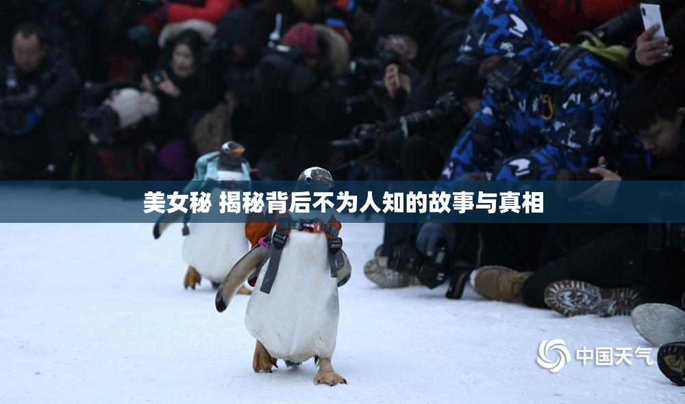美女秘 揭秘背后不为人知的故事与真相