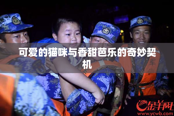 可爱的猫咪与香甜芭乐的奇妙契机
