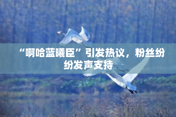 “啊哈蓝曦臣”引发热议，粉丝纷纷发声支持