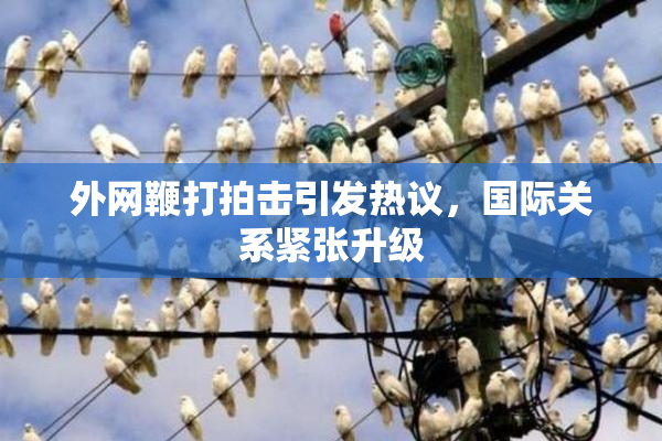 外网鞭打拍击引发热议，国际关系紧张升级
