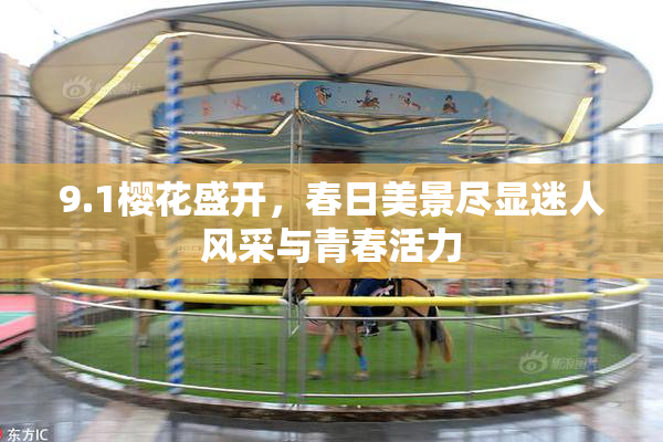 9.1樱花盛开，春日美景尽显迷人风采与青春活力