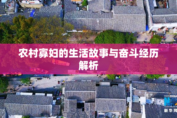 农村寡妇的生活故事与奋斗经历解析