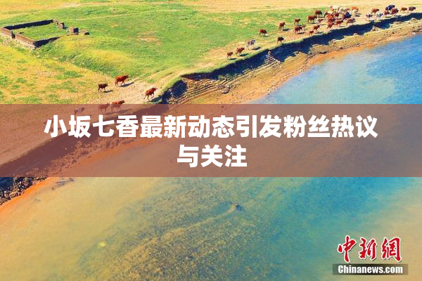 小坂七香最新动态引发粉丝热议与关注