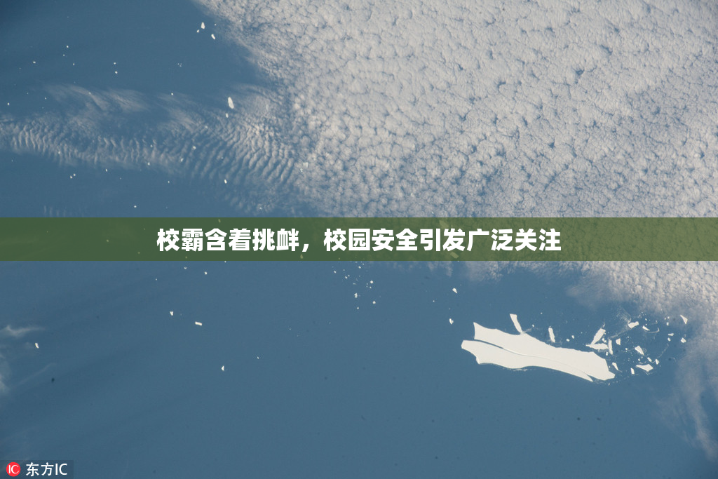 校霸含着挑衅，校园安全引发广泛关注