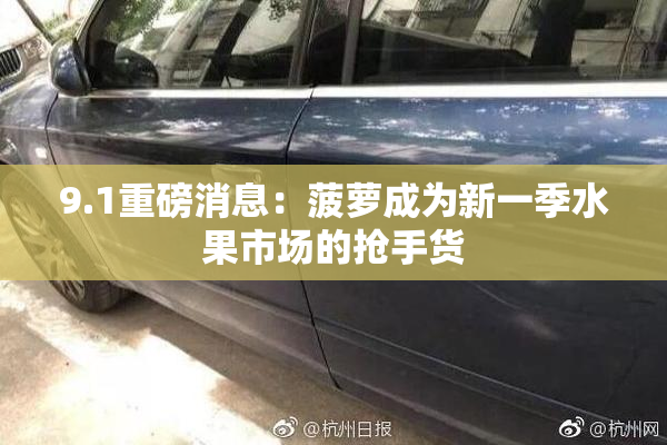 9.1重磅消息：菠萝成为新一季水果市场的抢手货