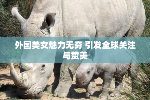 外国美女魅力无穷 引发全球关注与赞美