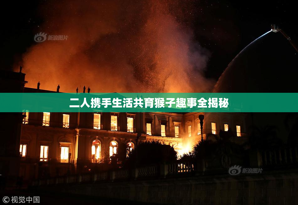 二人携手生活共育猴子趣事全揭秘