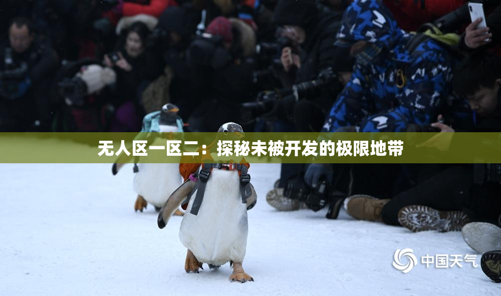 无人区一区二：探秘未被开发的极限地带