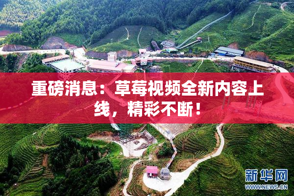 重磅消息：草莓视频全新内容上线，精彩不断！