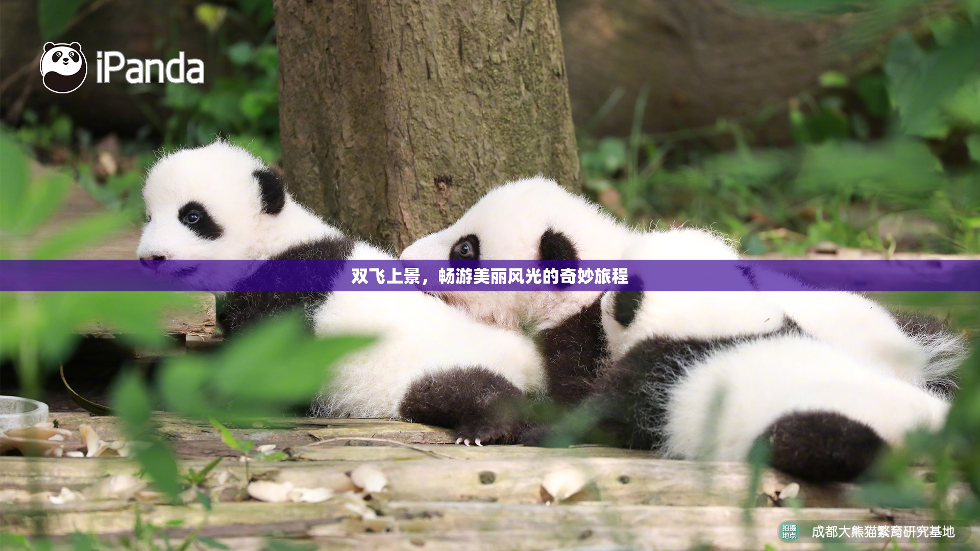 双飞上景，畅游美丽风光的奇妙旅程