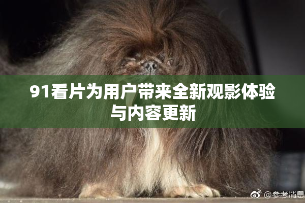 91看片为用户带来全新观影体验与内容更新