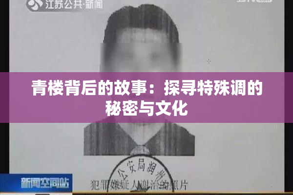 青楼背后的故事：探寻特殊调的秘密与文化