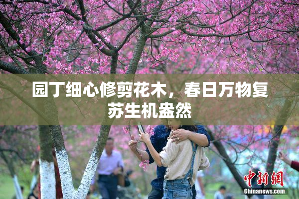 园丁细心修剪花木，春日万物复苏生机盎然
