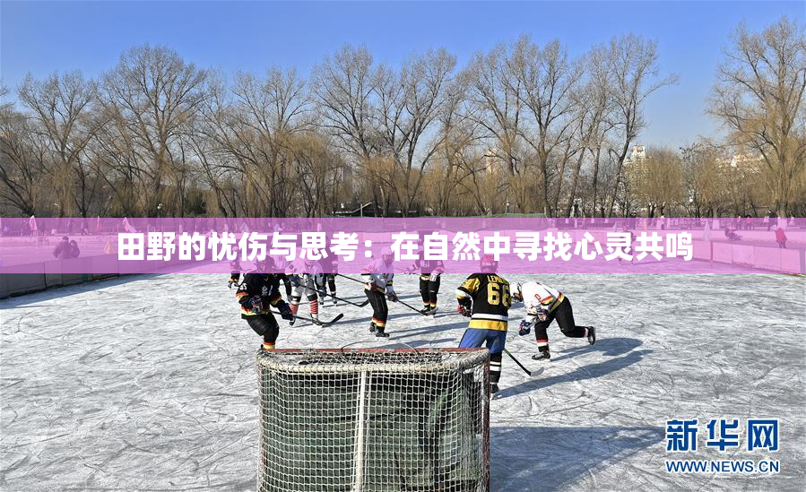 田野的忧伤与思考：在自然中寻找心灵共鸣