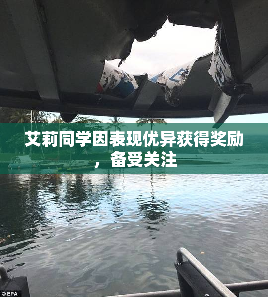 艾莉同学因表现优异获得奖励，备受关注