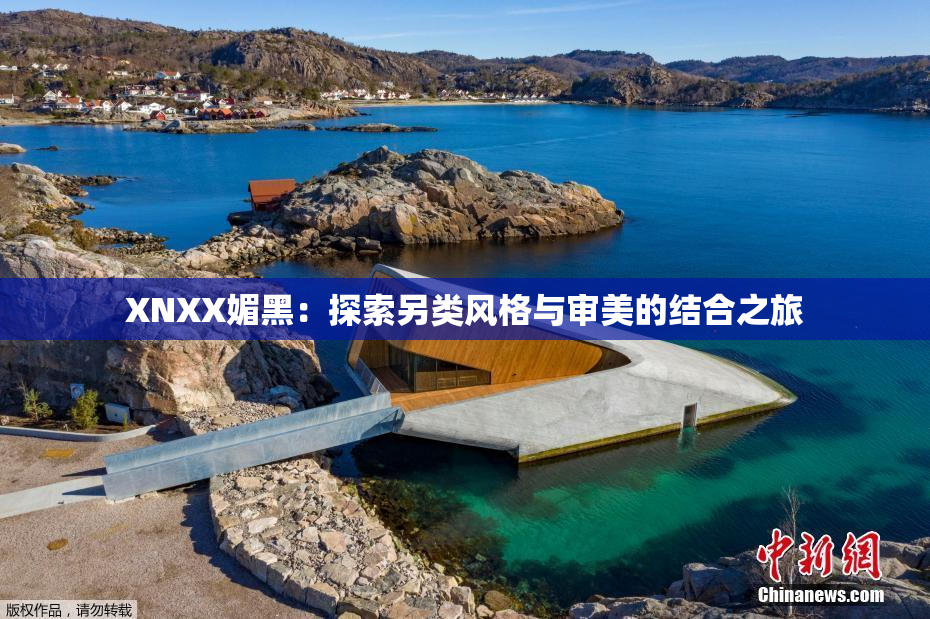 XNXX媚黑：探索另类风格与审美的结合之旅