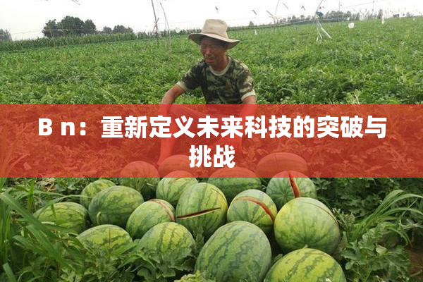 B n：重新定义未来科技的突破与挑战