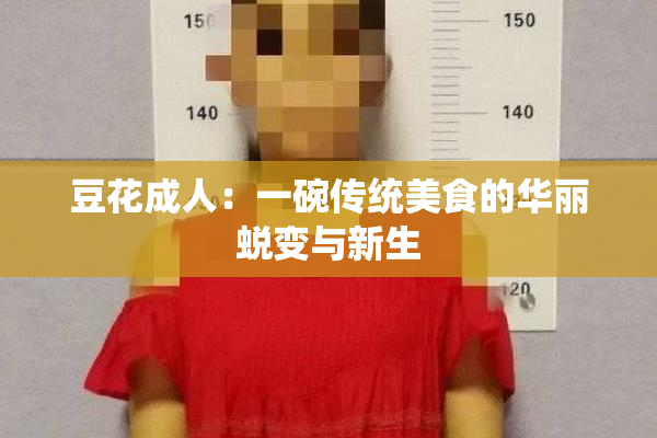 豆花成人：一碗传统美食的华丽蜕变与新生