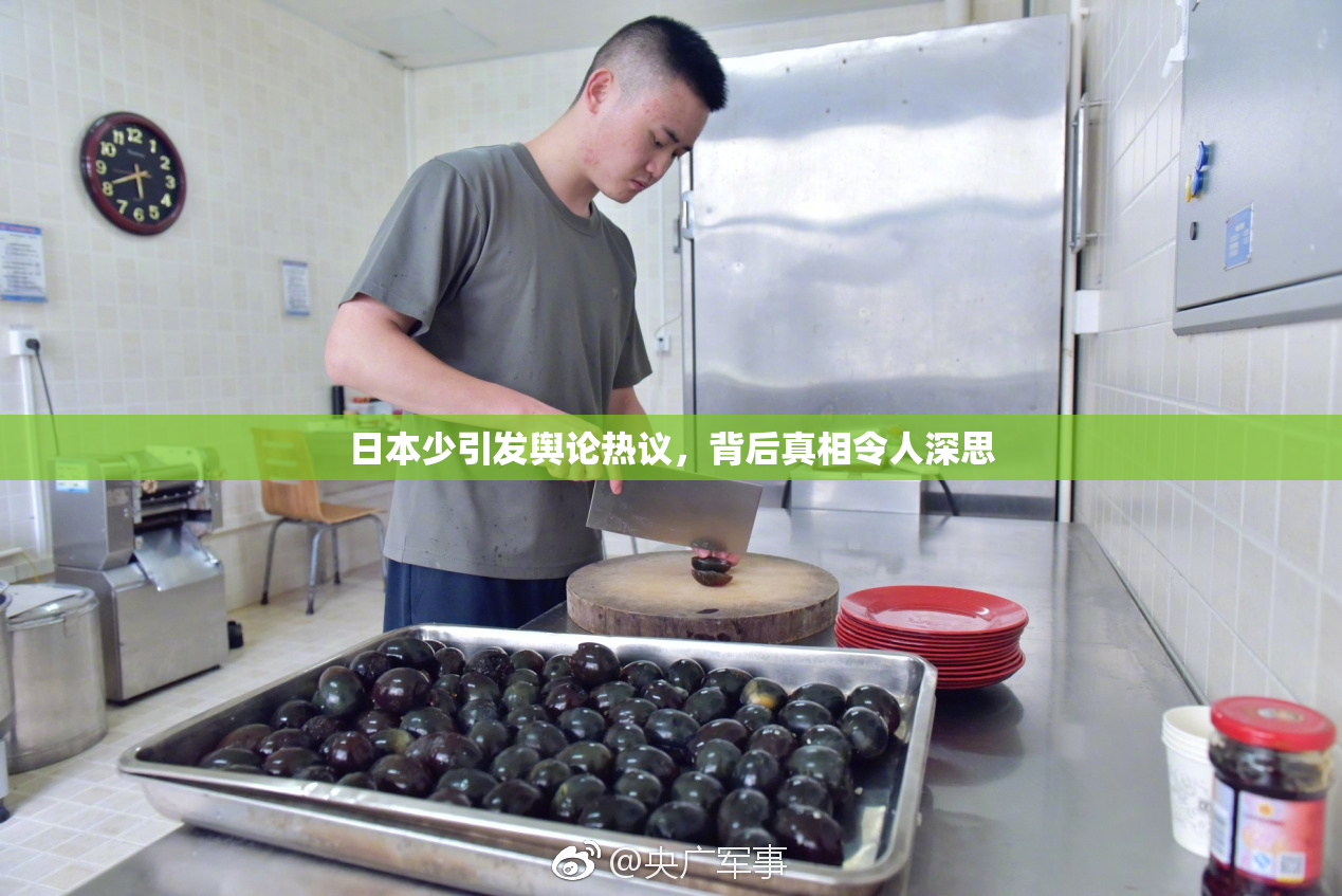 日本少引发舆论热议，背后真相令人深思