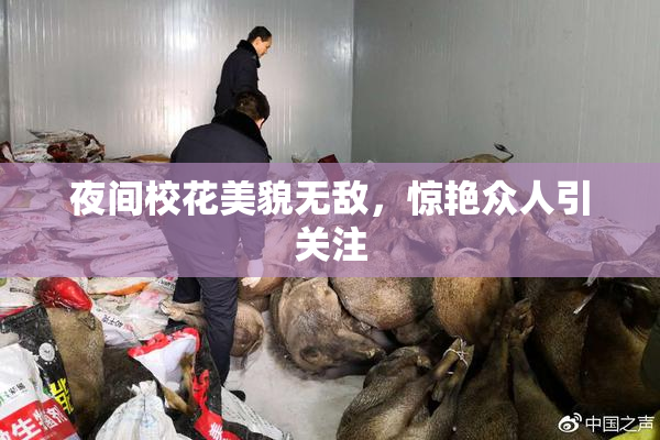 夜间校花美貌无敌，惊艳众人引关注
