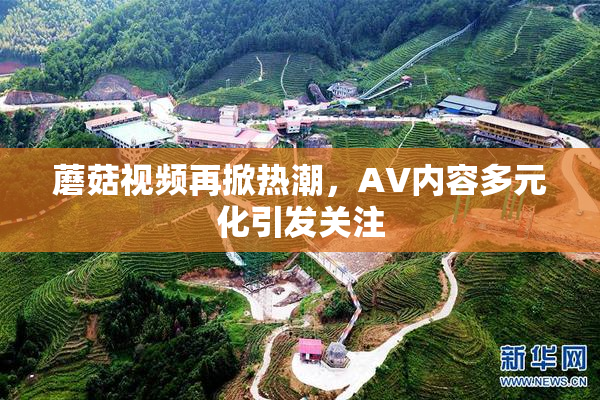 蘑菇视频再掀热潮，AV内容多元化引发关注
