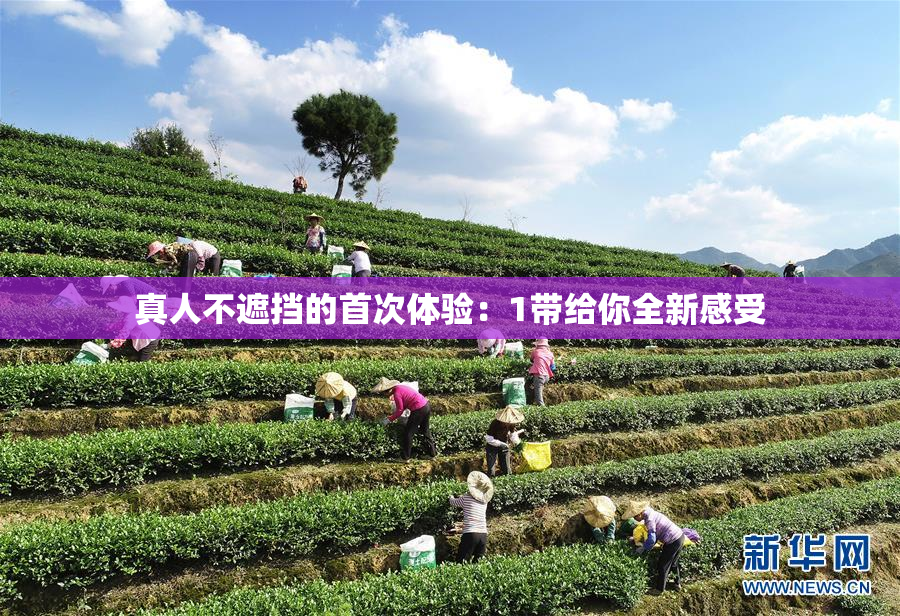 真人不遮挡的首次体验：1带给你全新感受