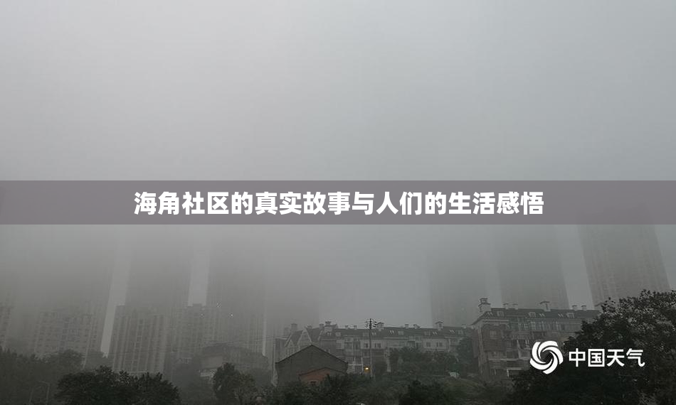 海角社区的真实故事与人们的生活感悟