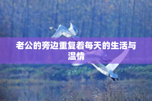老公的旁边重复着每天的生活与温情