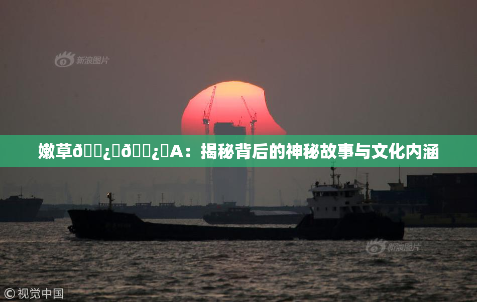 嫩草🌿‌🌿‌A：揭秘背后的神秘故事与文化内涵