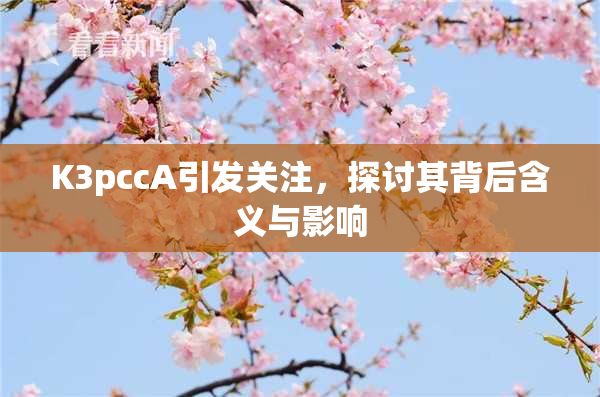 K3pccA引发关注，探讨其背后含义与影响