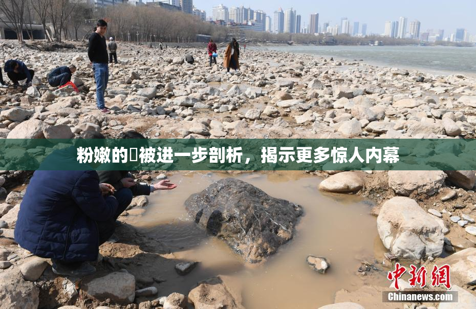 粉嫩的泬被进一步剖析，揭示更多惊人内幕