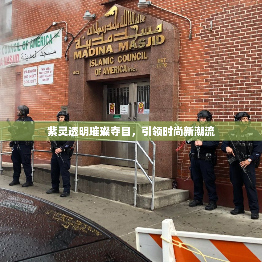 紫灵透明璀璨夺目，引领时尚新潮流