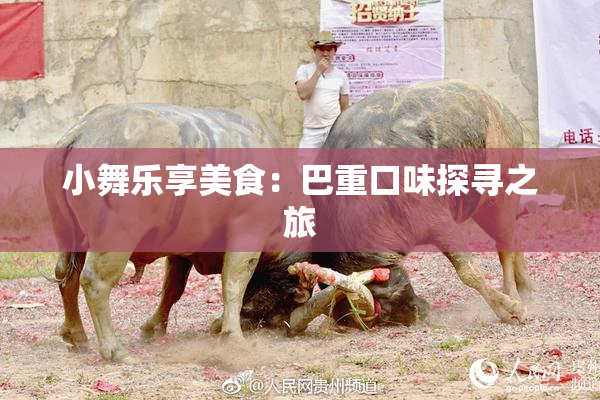 小舞乐享美食：巴重口味探寻之旅