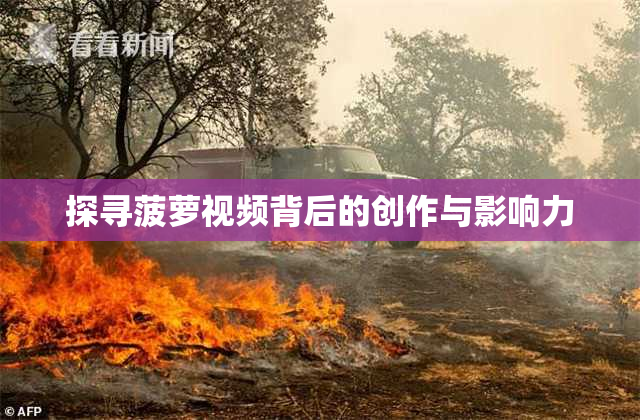探寻菠萝视频背后的创作与影响力