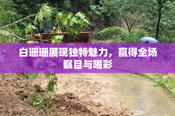 白珊珊展现独特魅力，赢得全场瞩目与喝彩