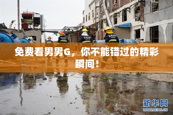 免费看男男G，你不能错过的精彩瞬间！