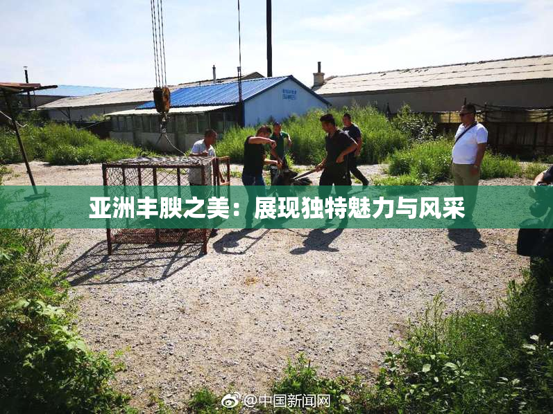 亚洲丰腴之美：展现独特魅力与风采